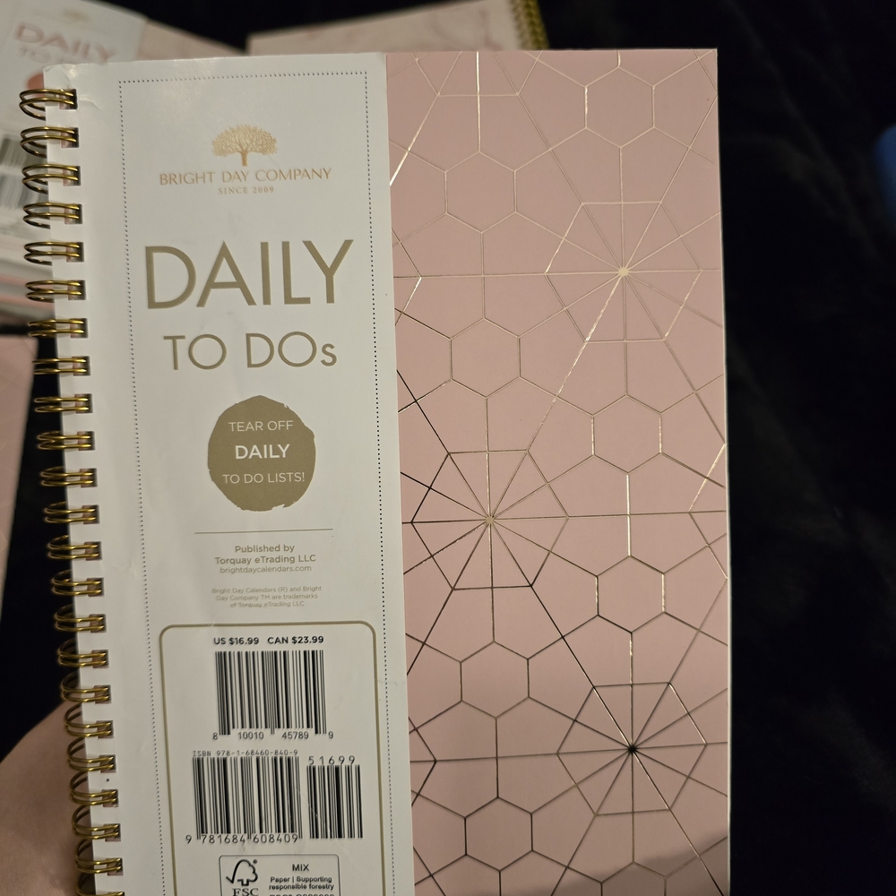 Bright Day Company "Daily To Dos" Pink Gold Spiral Notebook